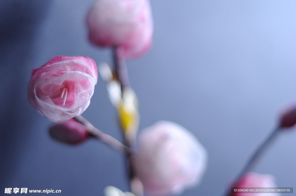粉色干花