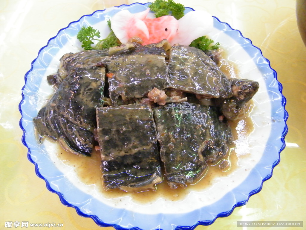 甲魚