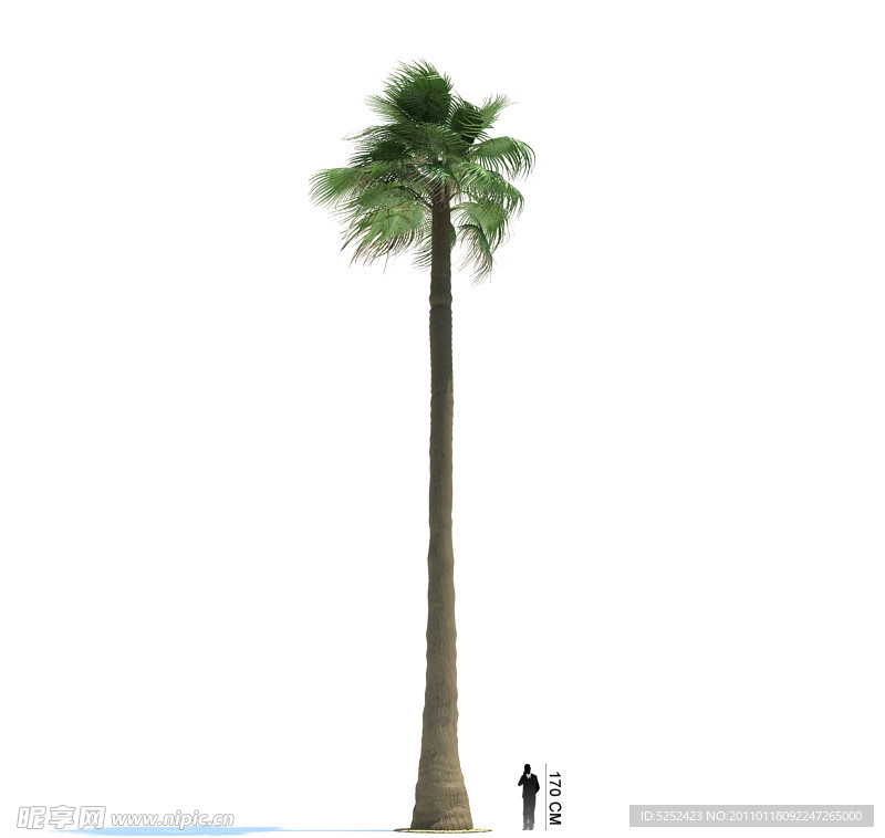 3D绿色树木模型