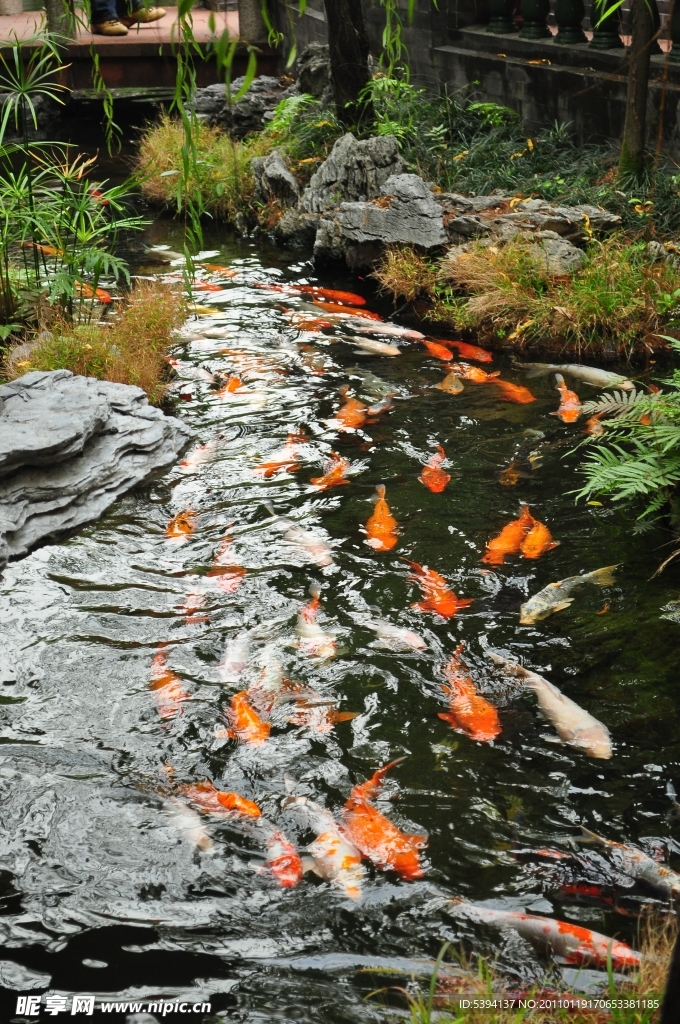小橋 流水