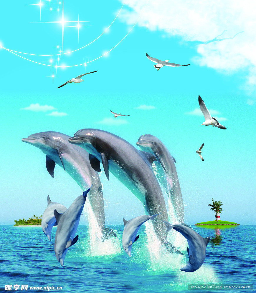 雀躍的海豚