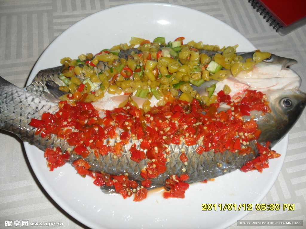 雙色鯇魚