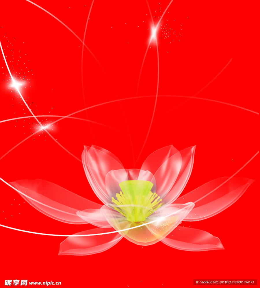 荷花