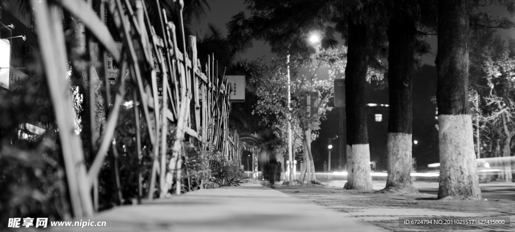 廈門大學夜景