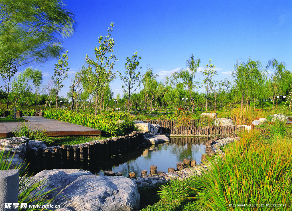 公園風(fēng)景
