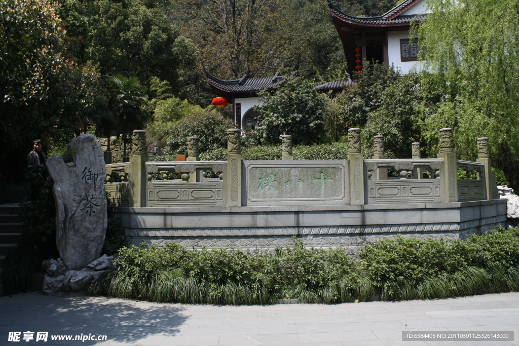 十八棵樹