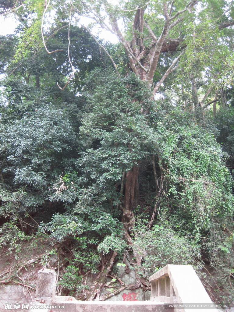 游山