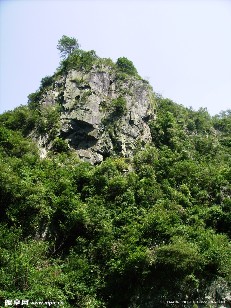山樹(shù)一體