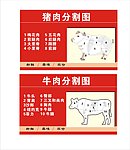 豬肉 牛肉 分割圖