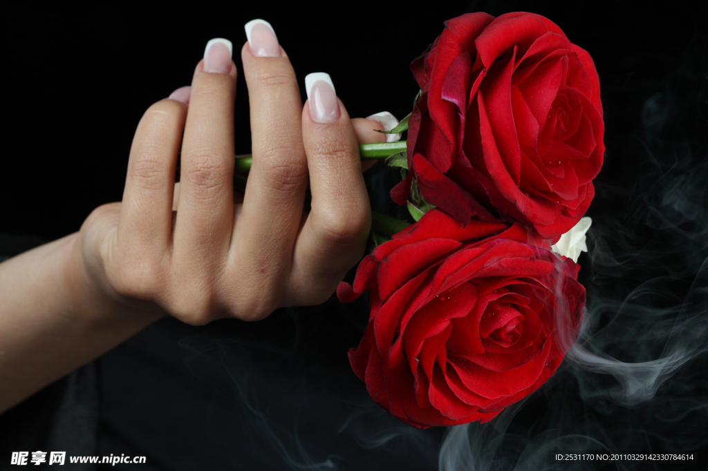玫瑰 烟雾 美容 美甲