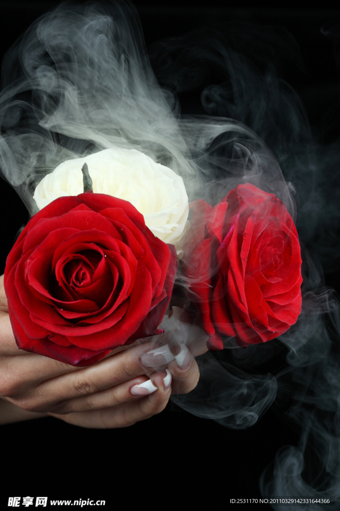 指甲美容 玫瑰花 动感烟雾