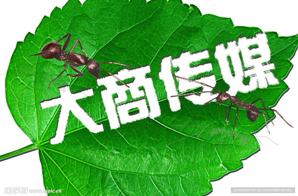 大商傳媒