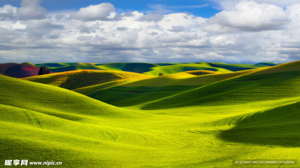 美麗風景