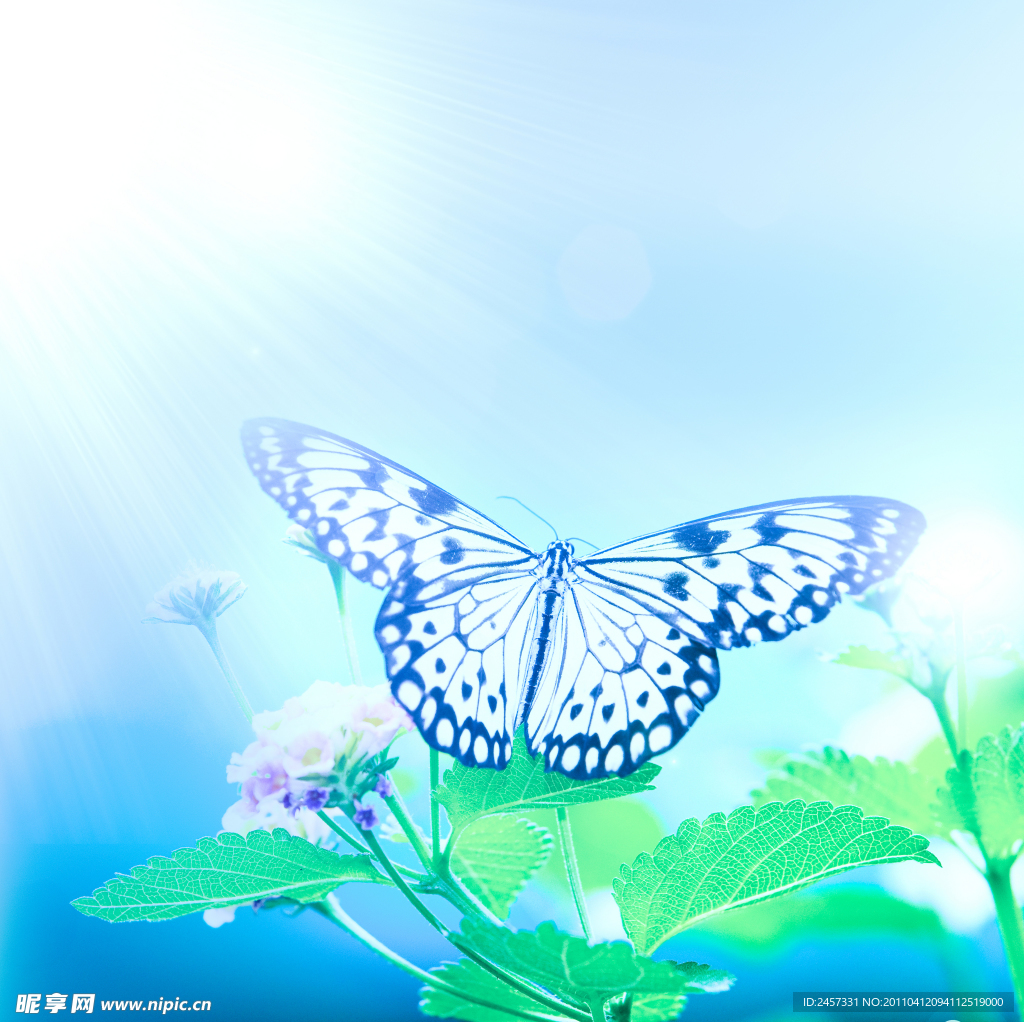 綠葉鮮花蝴蝶