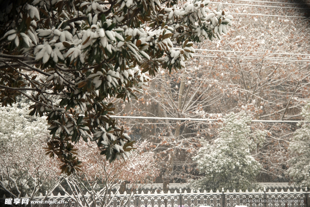 下雪 雪景 冬天