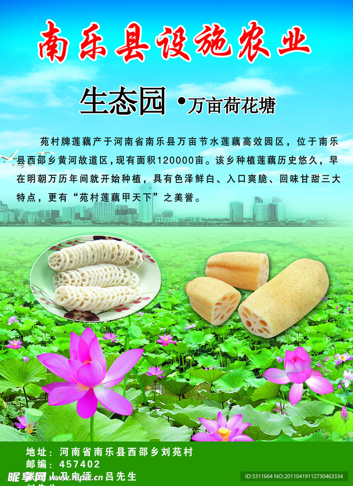 南乐县设施农业