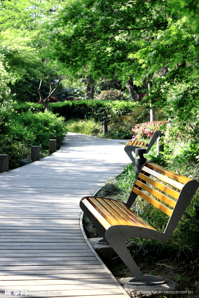 公園小路