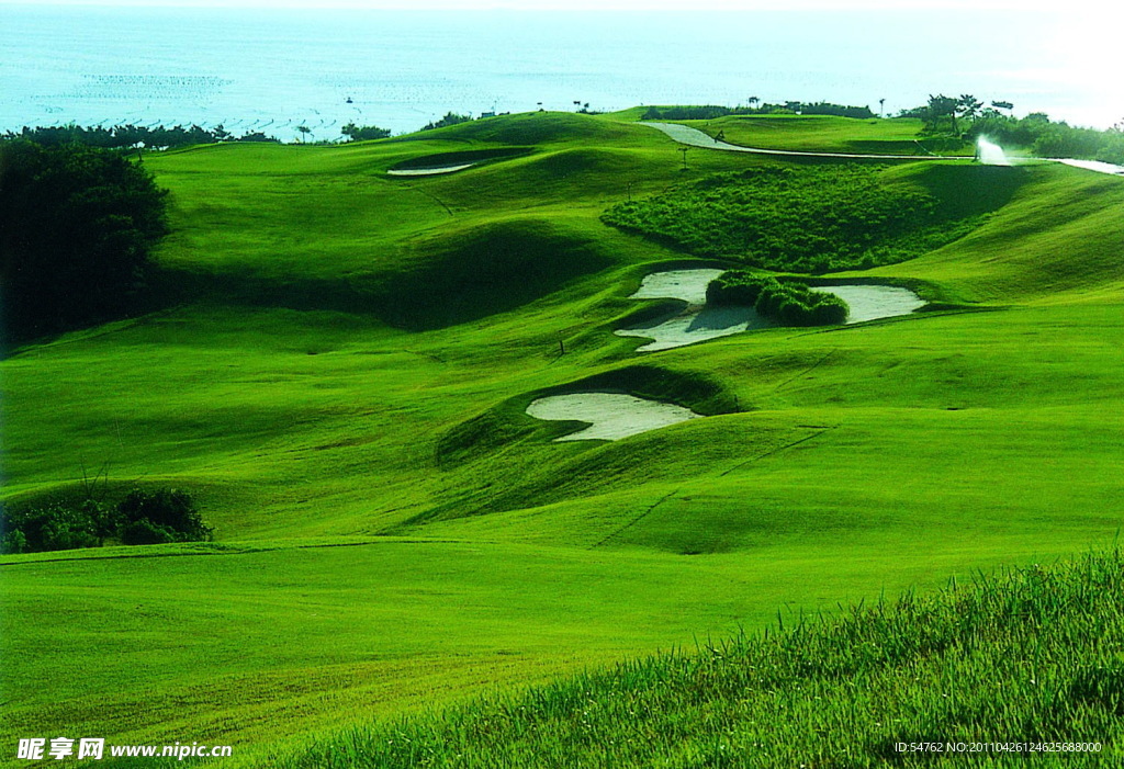 高尔夫 球场 半岛 风光 绿植 园林 大海 岛