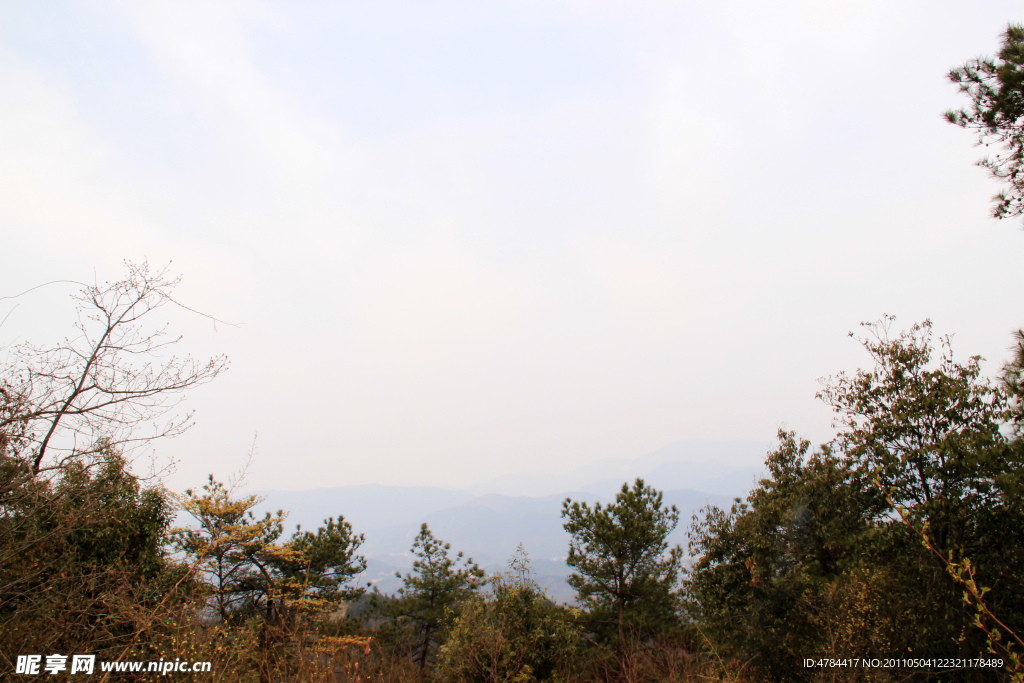 青山綠樹