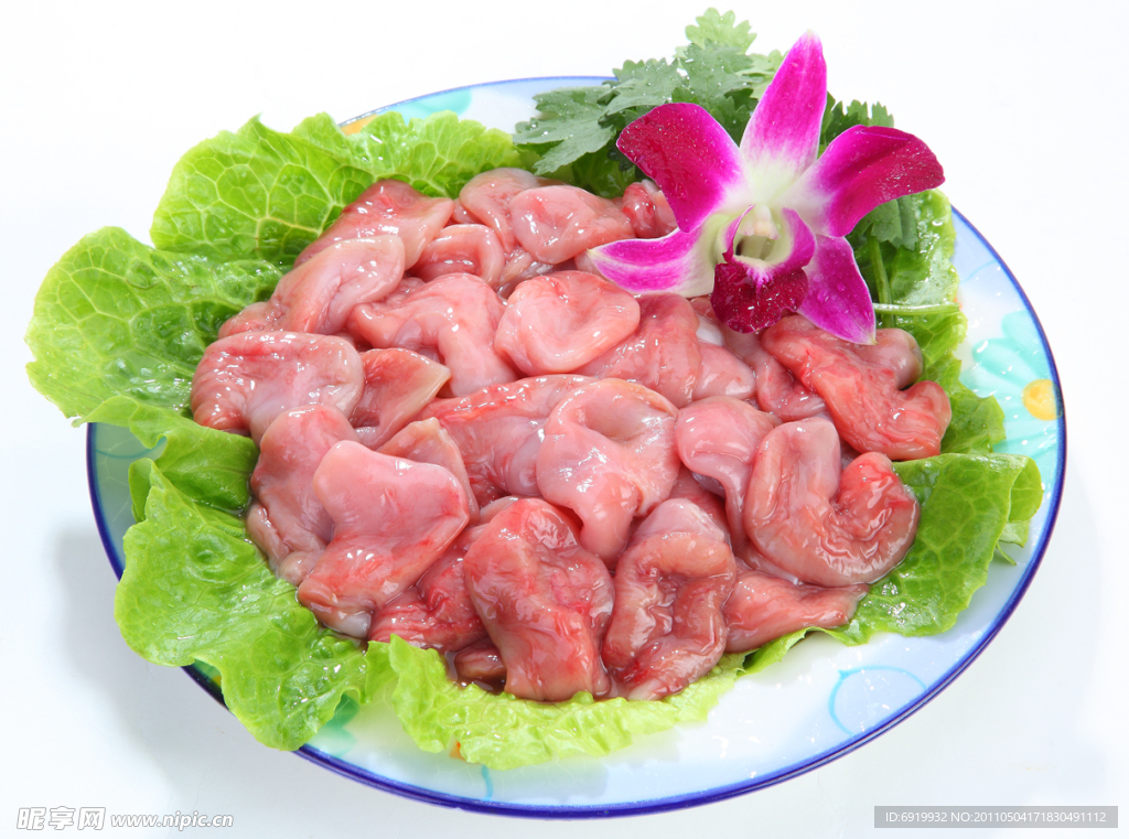 魚肚