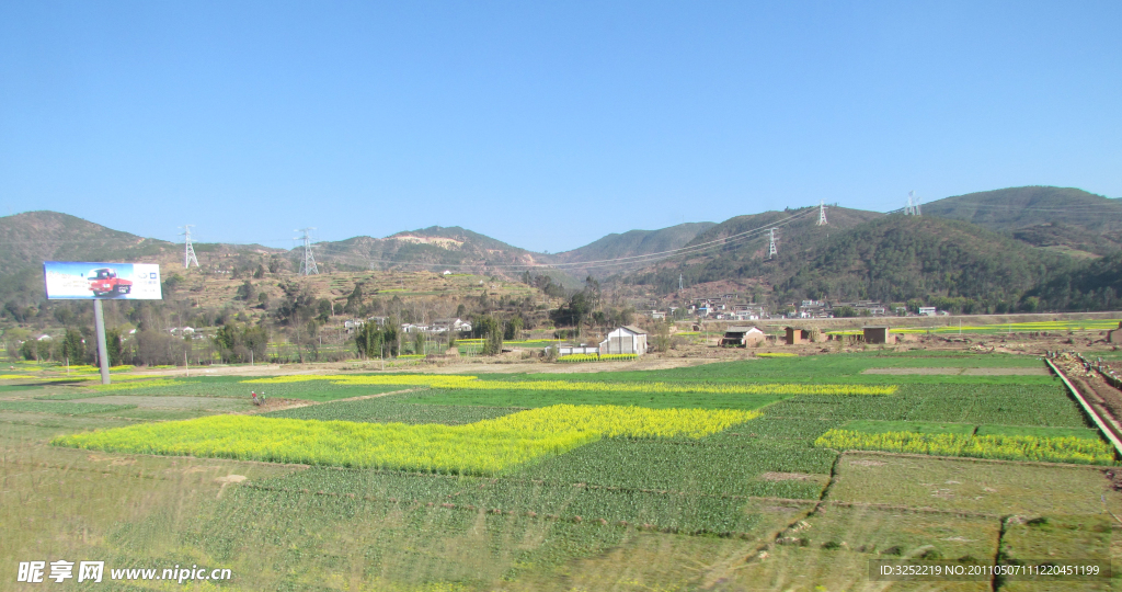 云南風(fēng)景 油菜花