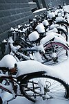 雪中自行车