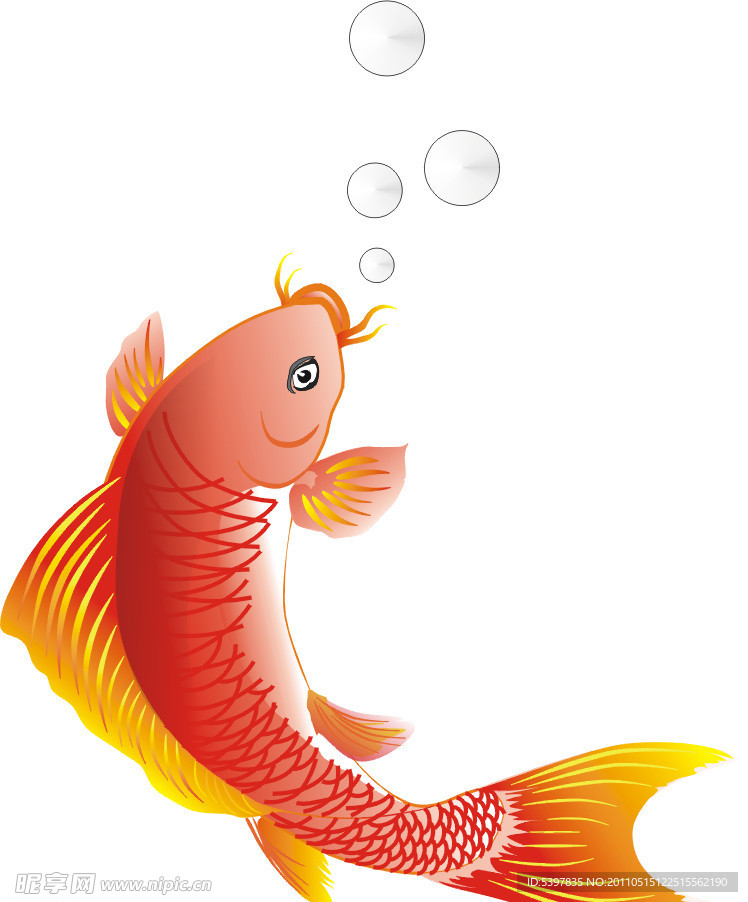 鯉魚吐泡