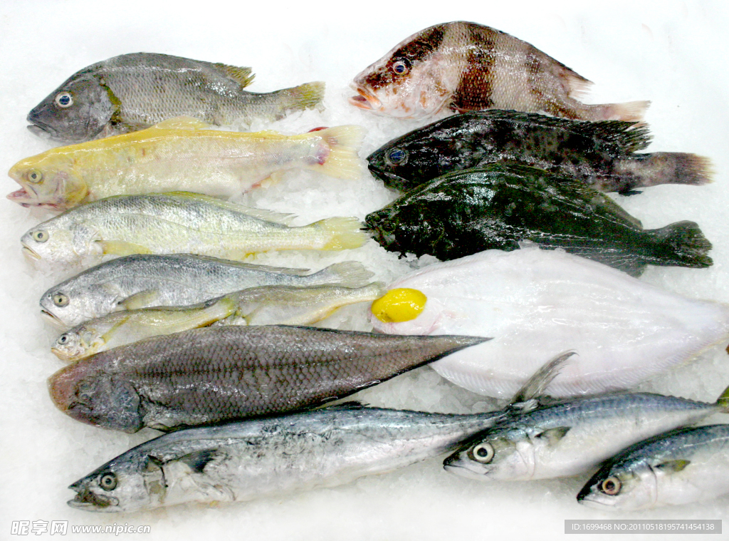 魚堆