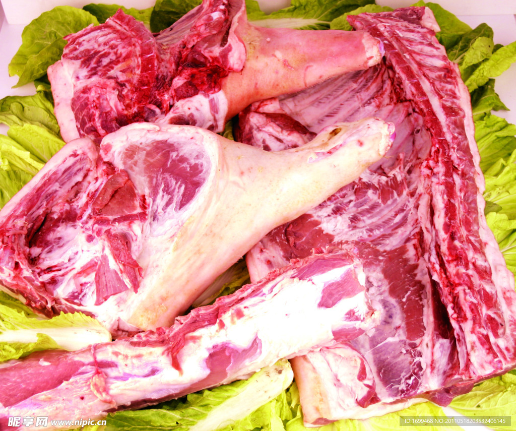 大肉系