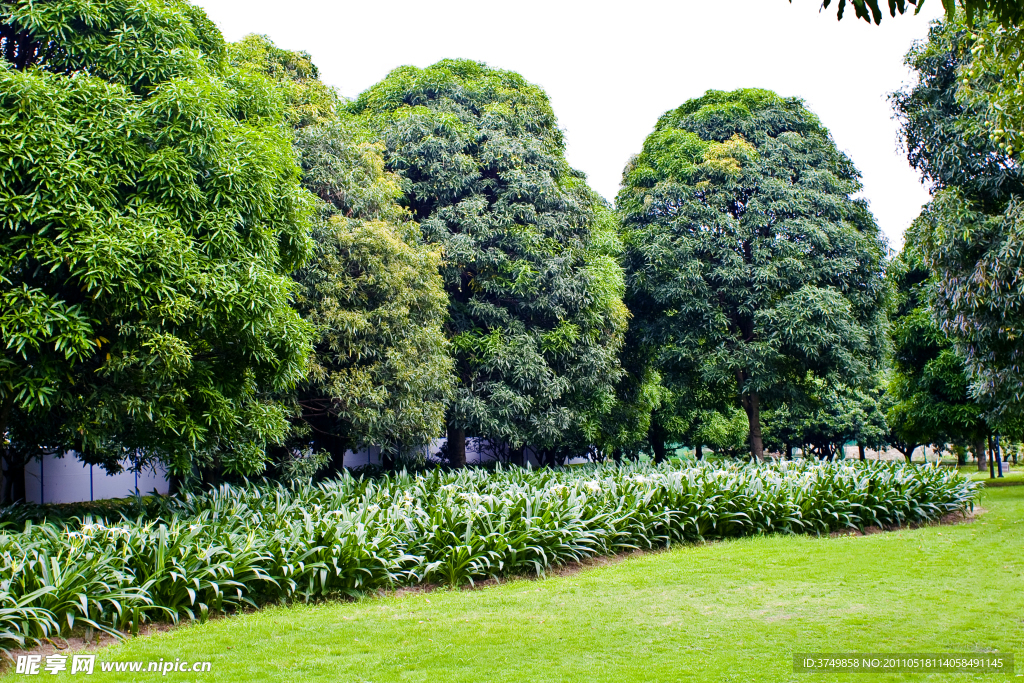 深圳中心公園