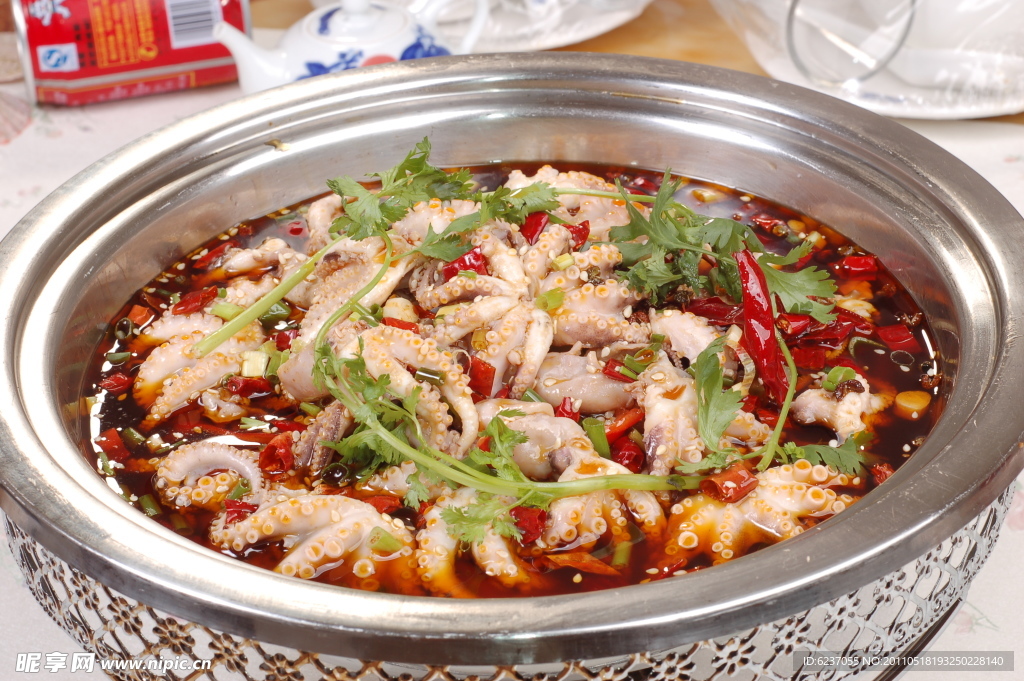 八爪魚