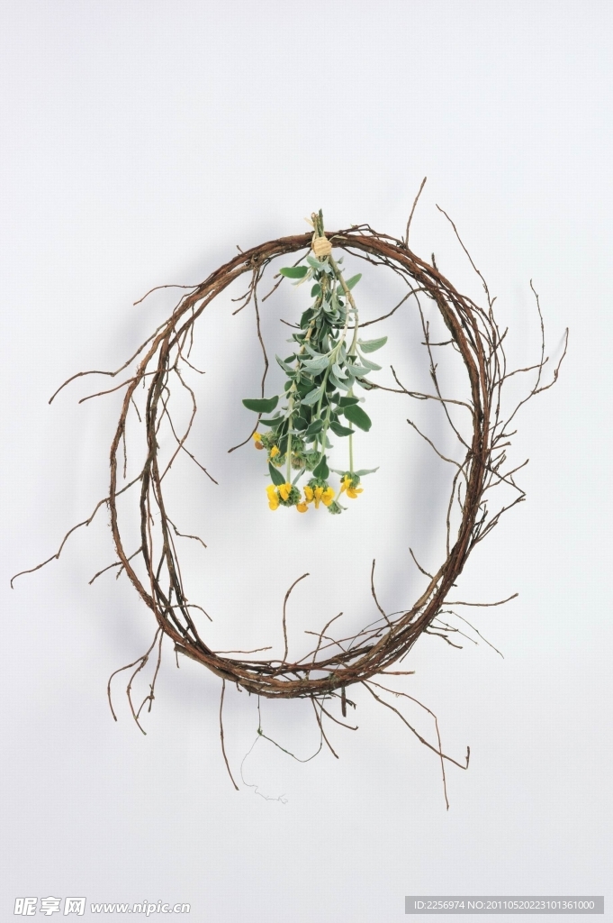 百花爭(zhēng)艷