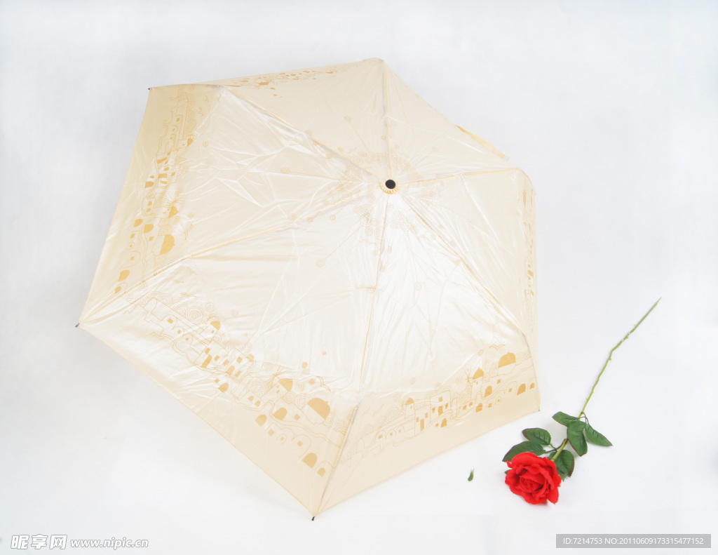 雨傘 玫瑰花