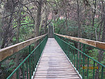蜿蜒山林的桥梁