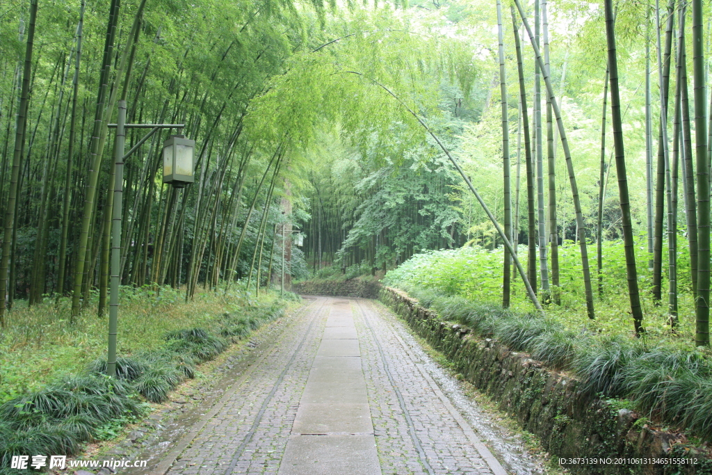 杭州云棲竹徑