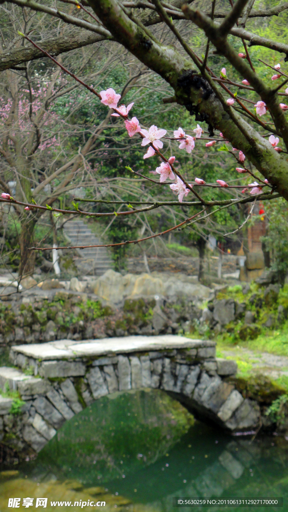 小橋