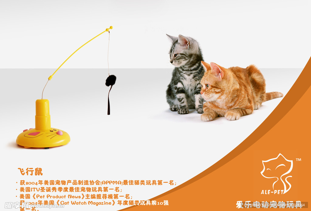 派力鼠海報飛行鼠