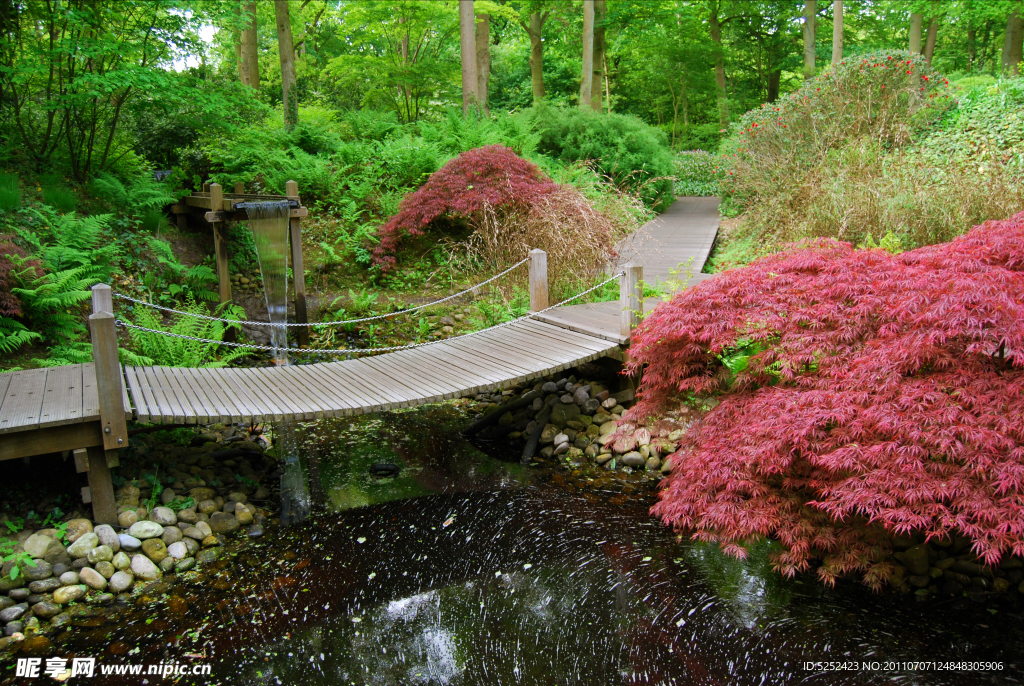 公園景色