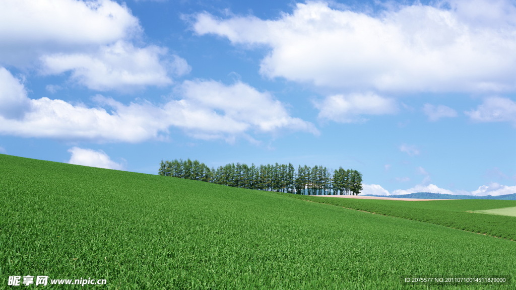 田園風光