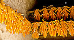 玉米苞串