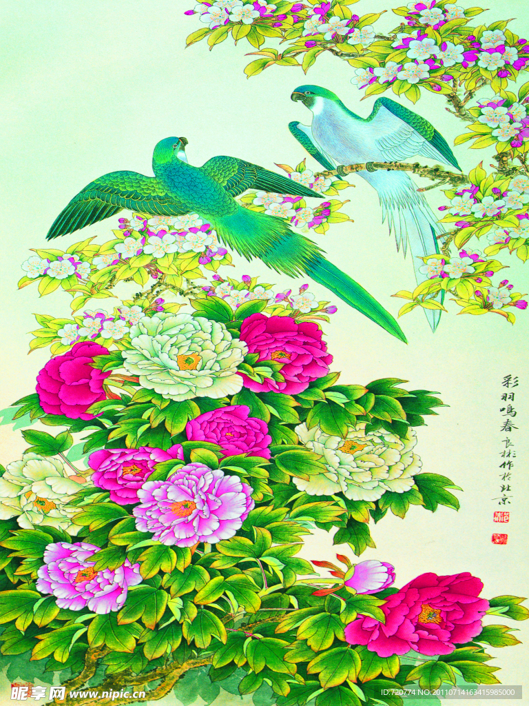 牡丹花