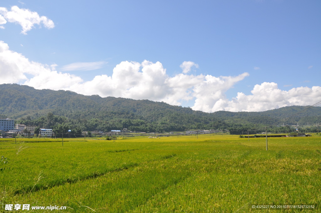 田园风光