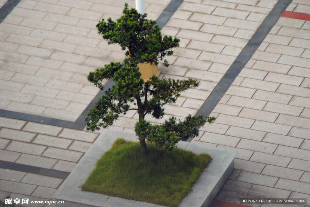 風景林