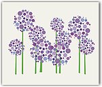 紫色太阳花