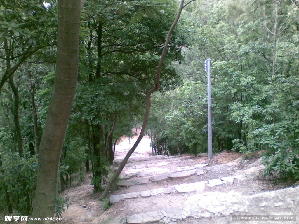 中山五桂山