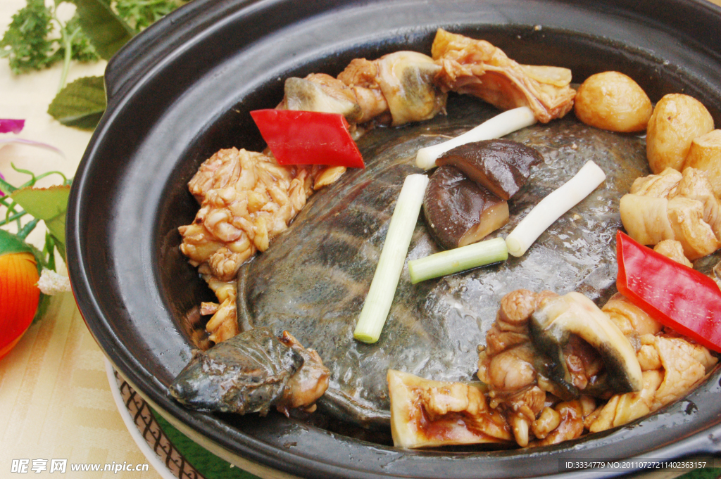 野生水魚燜家雞