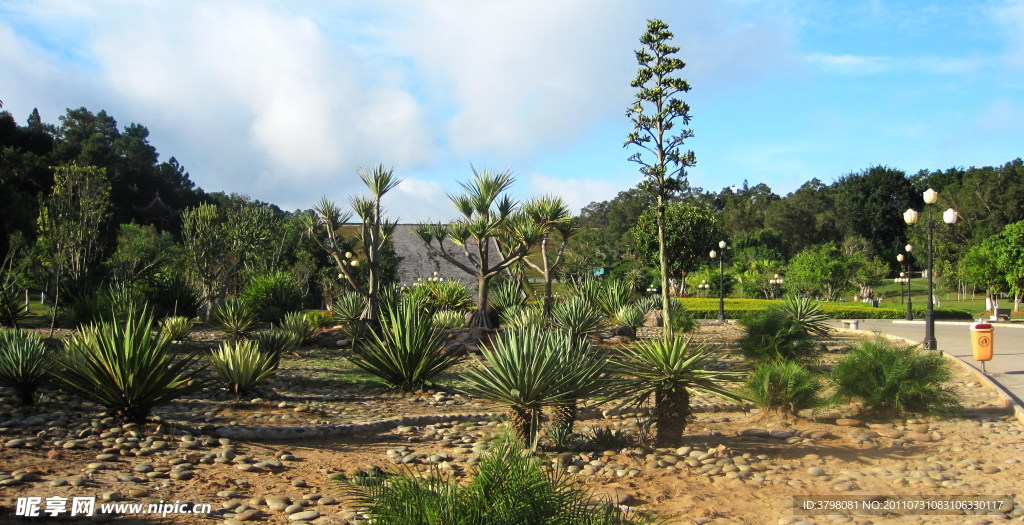 梅子湖公園