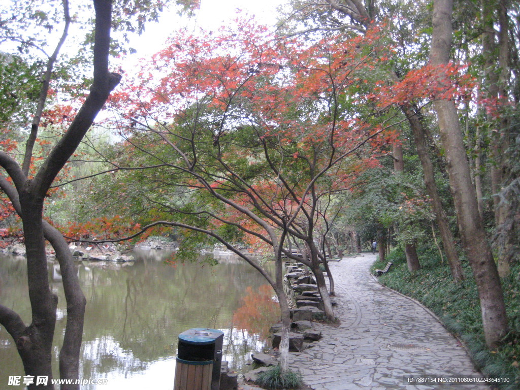 湖邊