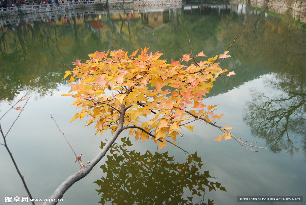 紅葉篇