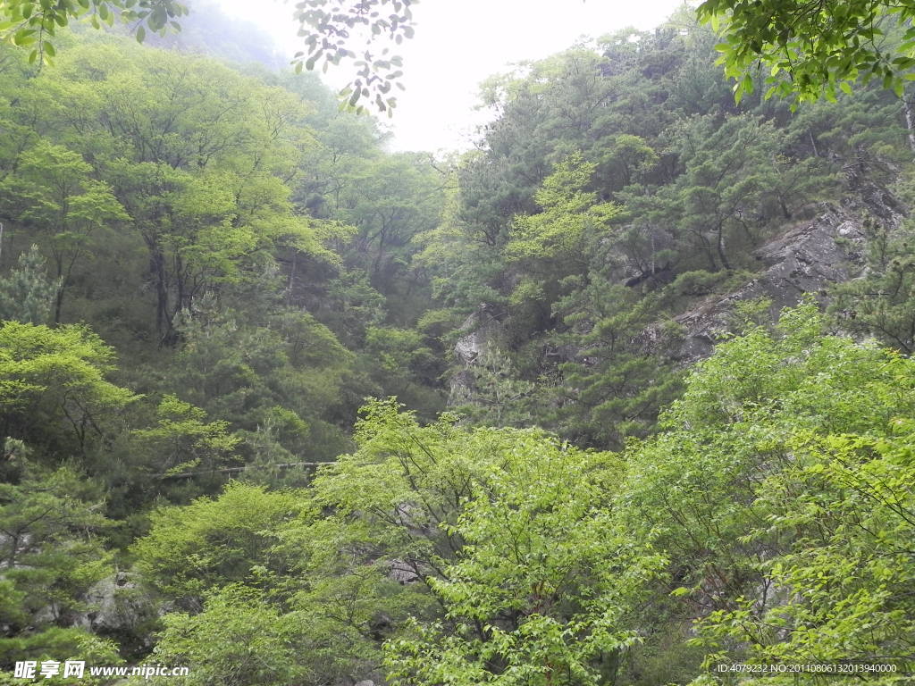 秦嶺山水